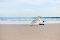 Electric Performance Surfboards Image 4