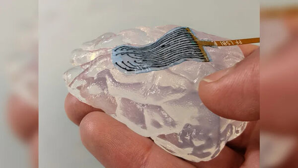 Soft Brain-Computer Interface Concepts: Researchers at MIT and Harvard ...