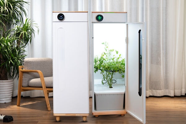 Innovative Plant Growth Boxes