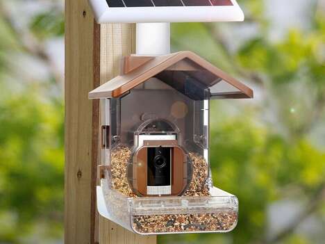 Camera-Compatible Bird Feeders