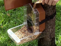 Camera-Compatible Bird Feeders Image 2
