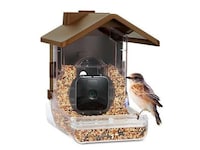 Camera-Compatible Bird Feeders Image 4