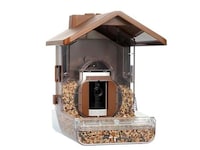 Camera-Compatible Bird Feeders Image 5