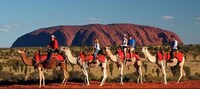 Exotic Vacation Services Image 1