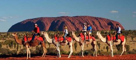 Exotic Vacation Services