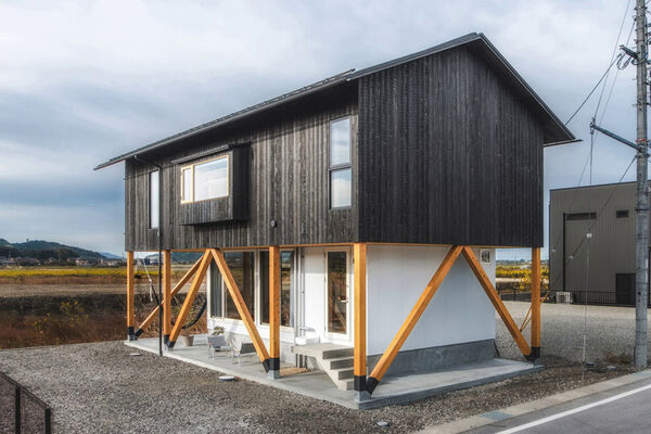 Flood-Mitigating Wooden Homes