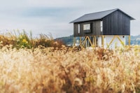 Flood-Mitigating Wooden Homes Image 2