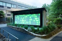Illuminated Public Artful Toilets