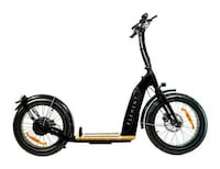 Stabilized Standing Electric Scooters Image 4