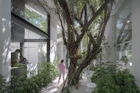 Mirrored-Detailed Garden Cafes Image 2