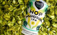 Aromatic Juicy IPAs Image 3