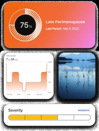 AI-Powered Menopause Apps Image 3
