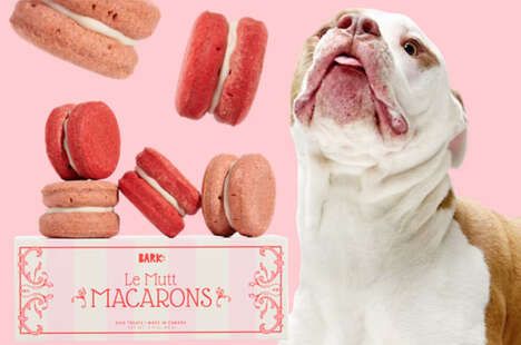 Dog-Friendly Macaron Treats