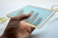 Squid-Inspired Smart Windows
