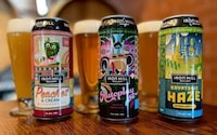 Extra-Flavorful Artisan IPA Beers