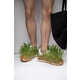 Real Grass-Growing Sneakers Image 2