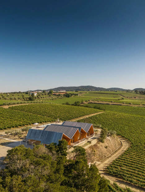 Wine Tourism Guest Apartments
