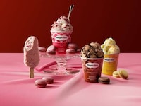 Macaron Ice Cream Collections