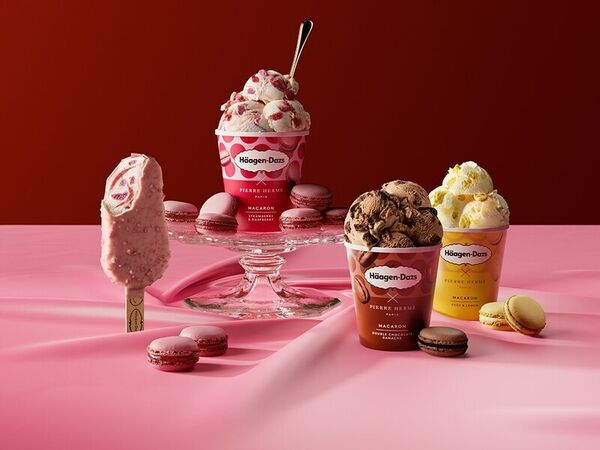 Macaron Ice Cream Collections