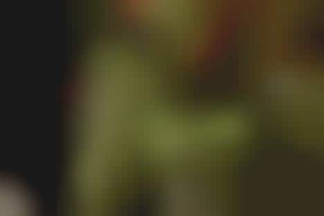 Sustainable Plant-Based Bags