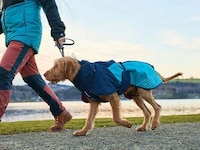 Winterized Active Dog Jackets Image 2
