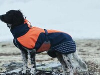 Winterized Active Dog Jackets Image 3