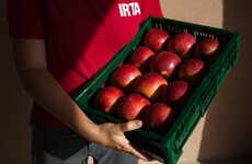 Juicy Heat-Resistant Apples
