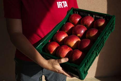 Juicy Heat-Resistant Apples