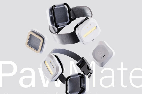 Pet-Monitoring Activity Trackers