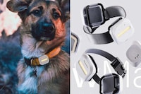 Pet-Monitoring Activity Trackers Image 2