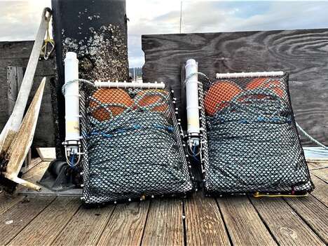 Bottom-Stowed Ropeless Fishers