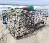 Timed Release Fishing Traps Image 1