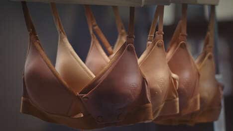 Cancer-Symptom Detecting Bras