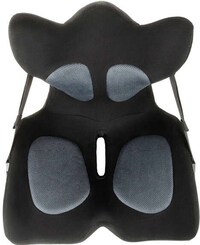 Doctor-Developed Lumbar Cushions Image 5