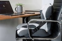 Doctor-Developed Lumbar Cushions Image 7