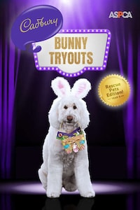 Rescue Pet-Supporting Campaigns Image 1