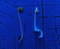 Fluorescent Nano Fertilizers Image 2