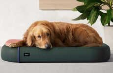 Modular Ergonomic Dog Beds