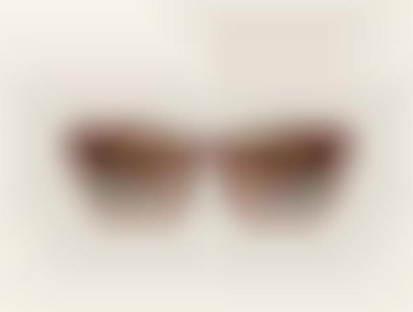 Modular Eyeglasses