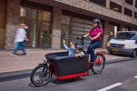Family-Friendly Electric Cargo Bikes Image 5
