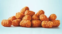 BBQ-Spiced QSR Potato Tots Image 1
