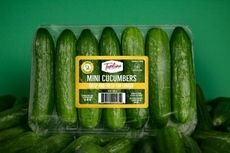 Spoil-Protected Mini Cucumbers Article Thubnail