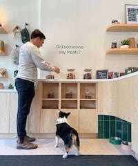 Membership-Based Vet Clinics Image 2