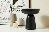 Sculptural Artful Ultrasonic Cleaners Image 1