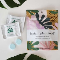 Efficient Houseplant Fertilizer Tablets Image 1