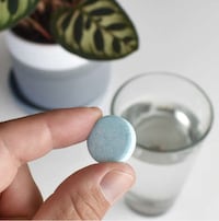 Efficient Houseplant Fertilizer Tablets Image 2