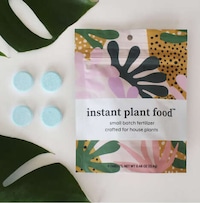 Efficient Houseplant Fertilizer Tablets Image 3