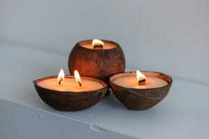 Repurposed Coconut Shell Candles Article Thubnail