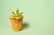 Hemp-Based Ice Creams