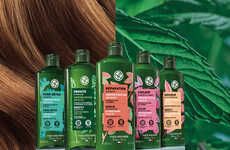 Botanical Sulfate-Free Haircare